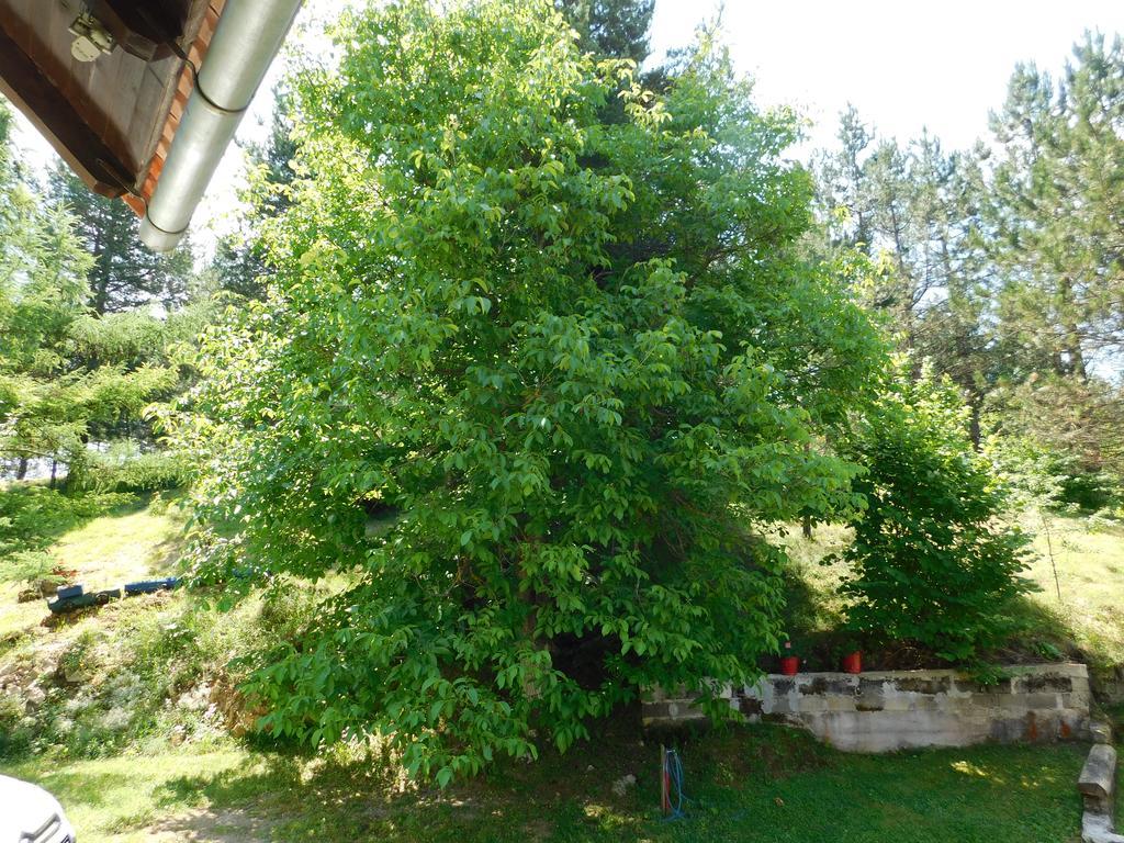 Holiday Home Lana Saborsko Exterior photo